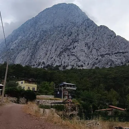 Nature And Tranquility Апартаменты