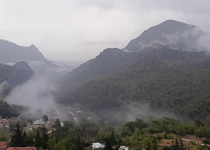 Nature And Tranquility Daire *